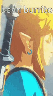 The Legend Of Zelda Botw GIF - The Legend Of Zelda Botw Link GIFs