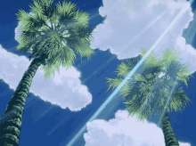 Sky Palm Trees GIF - Sky Palm Trees Aesthetic GIFs