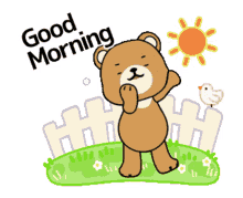 bear teddy good morning