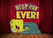 Best Day Ever GIF - Best Day Ever GIFs