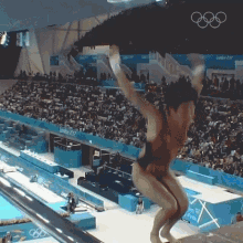 Spinning Dive Chen Ruolin GIF - Spinning Dive Chen Ruolin Olympics GIFs