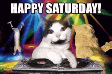Saturday Cat GIF - Saturday Cat Dj GIFs
