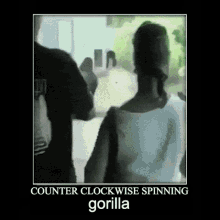 Zoo Gorilla GIF - Zoo Gorilla Spinning GIFs