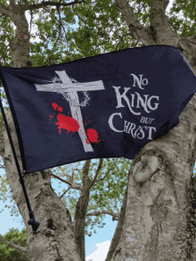 no king but christ flag waving christianity jesus christ