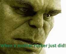 Its On Motherfucker GIF - Its On Motherfucker Hulk GIFs