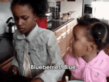 Blueberries! GIF - Blueberries Funny Fall GIFs