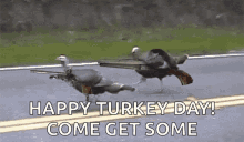 Turkey Gun GIF - Turkey Gun Running GIFs