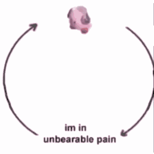 im-in-unbearable-pain-gif-im-in-unbearable-pain-discover-share-gifs