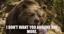 The Jungle Book Baloo GIF - The Jungle Book Baloo I Dont Want You Around Any More GIFs