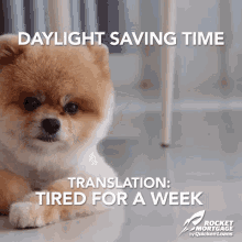 daylight saving time tired lazy tired for a week