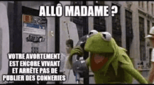 allo madame hello telephone kermit the frog
