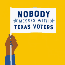 Nobody Messes With Texas Voters Tx GIF - Nobody Messes With Texas Voters Texas Voters Texas GIFs