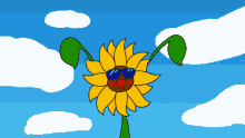sunflower sunglasses summer dance