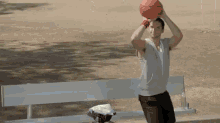Mother Nature'S Strong On D GIF - Funny Pigeon Pigeon Basketball GIFs