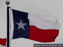 Texas Flag Waving GIF - Texas Flag Waving Flag GIFs