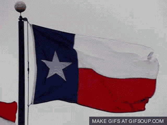 Texas Flag,waving,flag,gif,animated gif,gifs,meme.