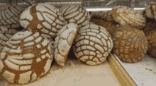 conchas pan dulce panaderia sweet bread mexico