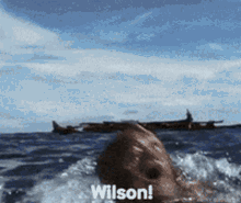 Wilson Castaway GIF - Wilson Castaway Russell GIFs