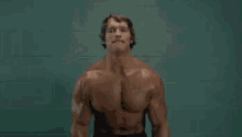 Arnold Again GIF - Arnold Schwarzenegger Body Builder Workout GIFs