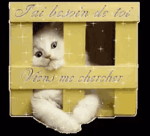 chercher
