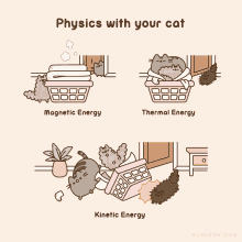 energy cat funny