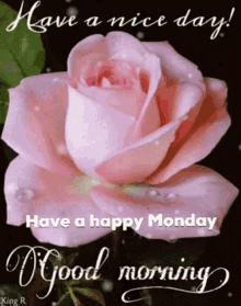 Have A Nice Day Have A Happy Monday GIF - Have A Nice Day Have A Happy Monday Good Morning GIFs