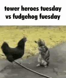 tower heroes tower heroes tuesday fudgehog fudgehog fuesday chungus
