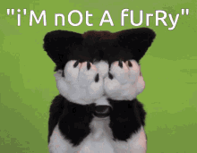 Kaitlyn Trying To Explain That She Isnt A Furry Even Though She Is A Furry GIF - Kaitlyn Trying To Explain That She Isnt A Furry Even Though She Is A Furry Kaitlyn Is A Furry GIFs