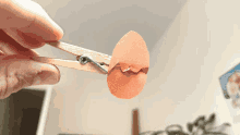 Pâques Oeuf Poussin Egg GIF - Pâques Oeuf Poussin Egg Clip GIFs