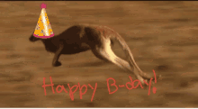 birthday kangaroo