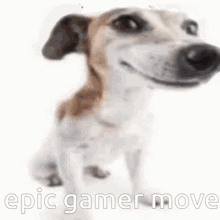 Epic Epic Gamer GIF - Epic Epic Gamer Gamer GIFs