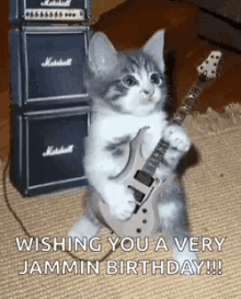 Cat Kitten GIF - Cat Kitten Guitar GIFs
