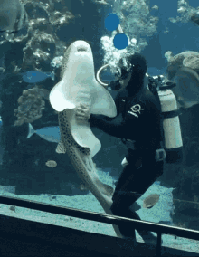 Diver Shark GIF - Diver Shark Aquarium GIFs