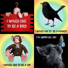 like to be a cat blackbird monkey chad kilroy