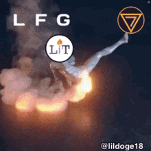 litwtf lildoge18