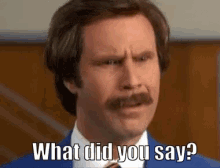 Anchorman What GIF - Anchorman What What Did You Say GIFs