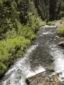 River Go With The Flow GIF - River Go With The Flow Relax GIFs