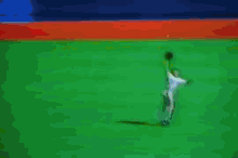 Mets Bloopers 4 GIF - Mets Catch Fail GIFs