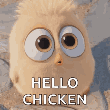 Chicken Tease Funny GIF - Chicken Tease Funny Angry Bird GIFs