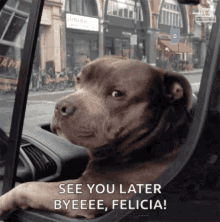 See You Later Bye Felicia GIF - See You Later Bye Felicia Dogs GIFs