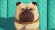 Pug Dog GIF - Pug Dog Bark GIFs