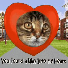 You Found A Way Into My Hear You Have Been Breaded GIF - You Found A Way Into My Hear You Have Been Breaded Valentines Cat GIFs