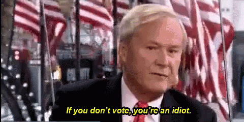 if-you-dont-vote-youre-an-idiot-vote.gif