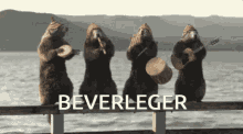 Beaver Beverleger Bever GIF - Beaver Beverleger Bever GIFs