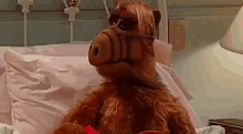 alf good night imma sleep now alf good night imma sleep now