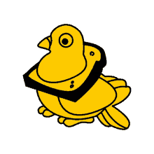 bird taube