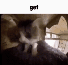 Get Get Real GIF - Get Get Real Get Fake GIFs