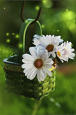 Gifs animés; fleur et bouquet, si le cœur vous en dit, c'est ici... - Page 2 Panier-fleurs