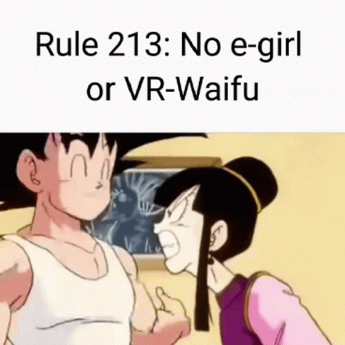 Waifu Rules