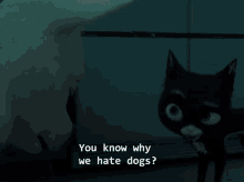 Bolt Dog GIF - Bolt Dog Cat GIFs